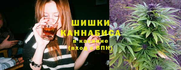 эйфоретик Липки